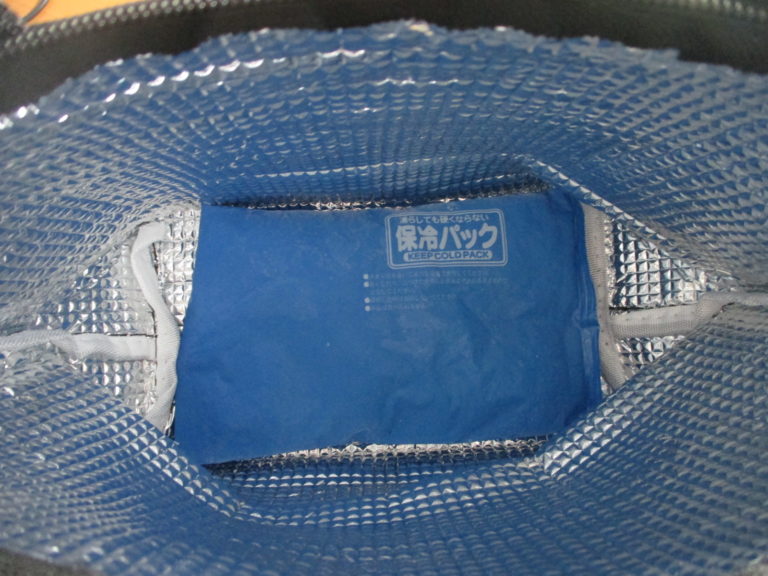 DAISO（ダイソー）200円 舟形ランチトートバッグ 黒 およげ100円