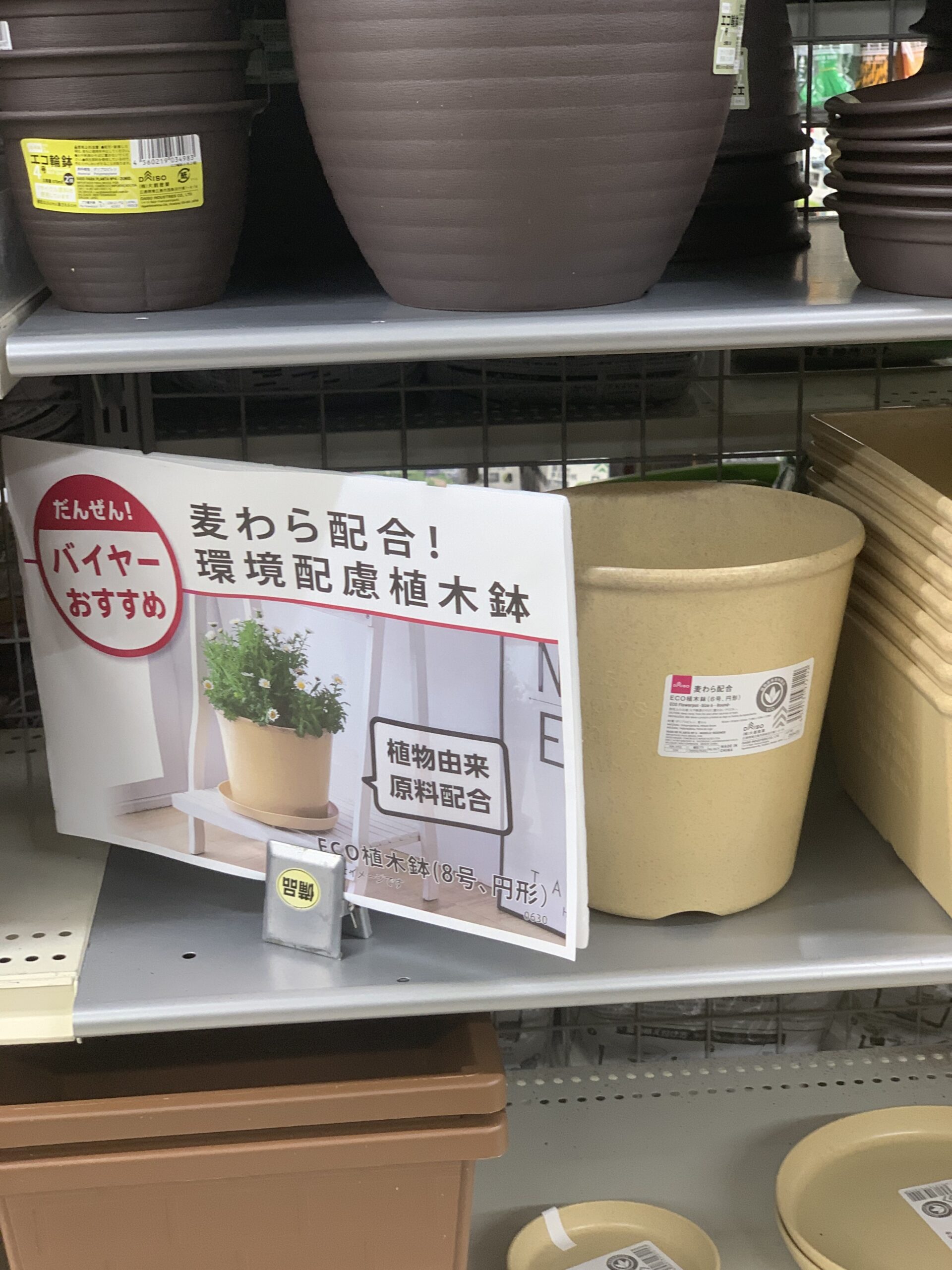 Daiso ダイソー 探険 ｅｃｏ植木鉢 およげ１００円